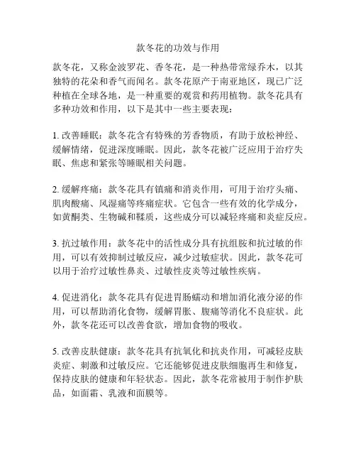 款冬花的功效与作用