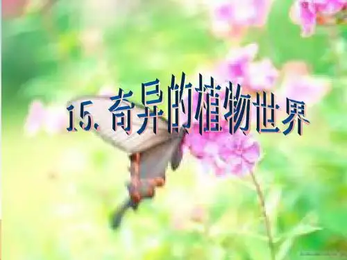 奇异的植物世界_课件