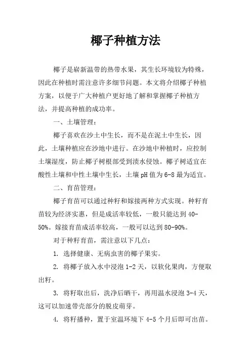 椰子种植方法