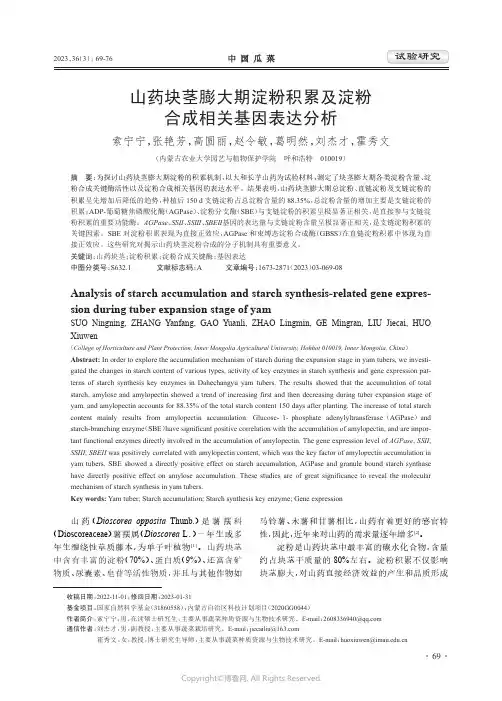 山药块茎膨大期淀粉积累及淀粉合成相关基因表达分析