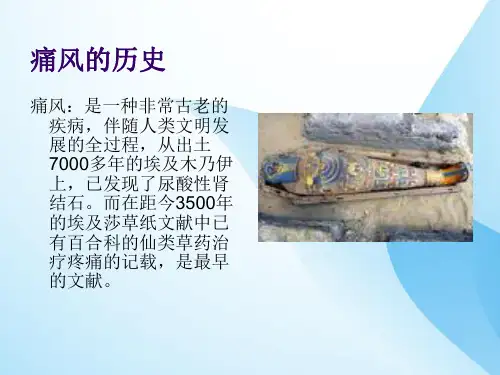 痛风课件PPT课件