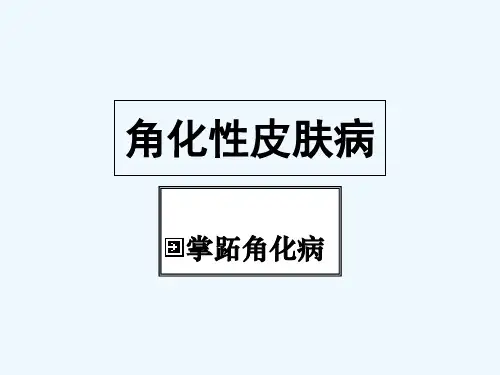 角化性皮肤病