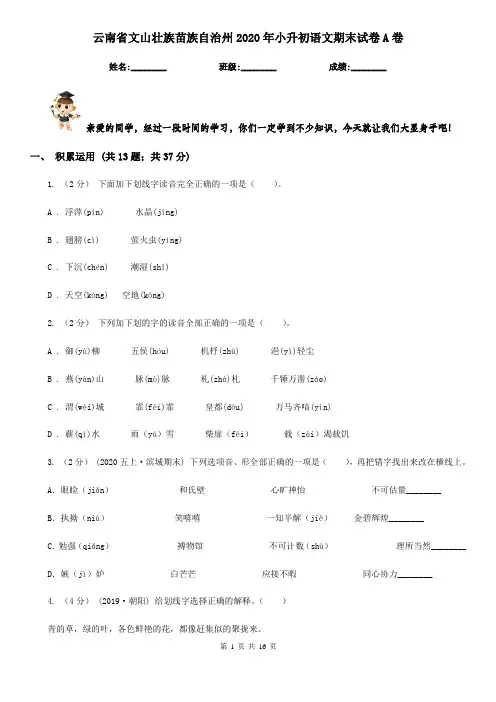 云南省文山壮族苗族自治州2020年小升初语文期末试卷A卷