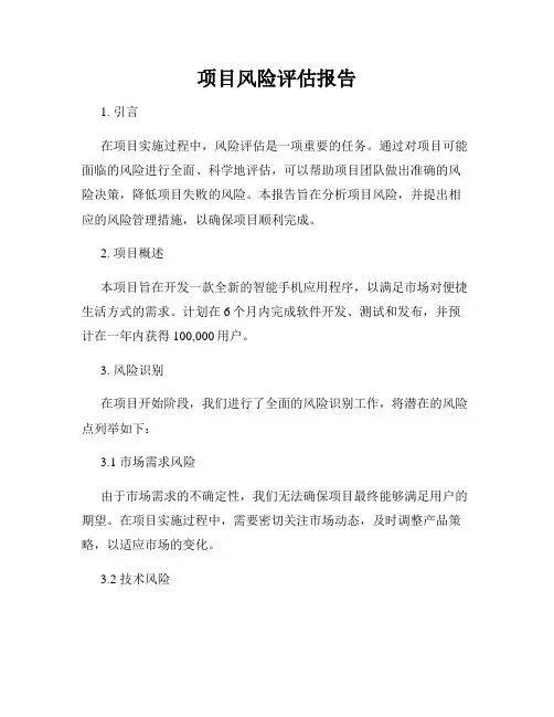 项目风险评估报告
