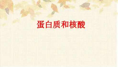 《  蛋白质和核酸》第五课时