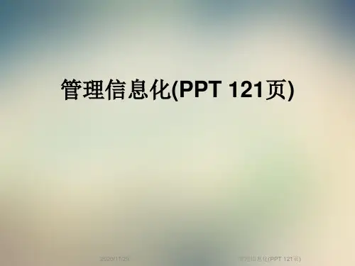 管理信息化(PPT 121页)