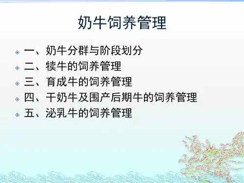 奶牛养殖不同阶段饲养管理PPT课件