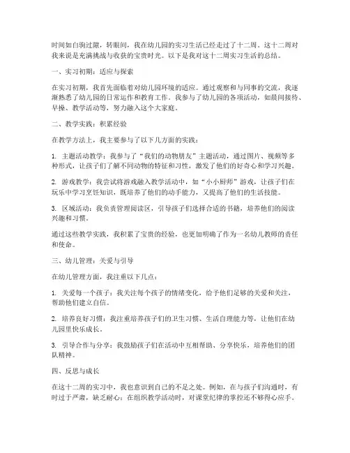 幼师十二周周报总结范文