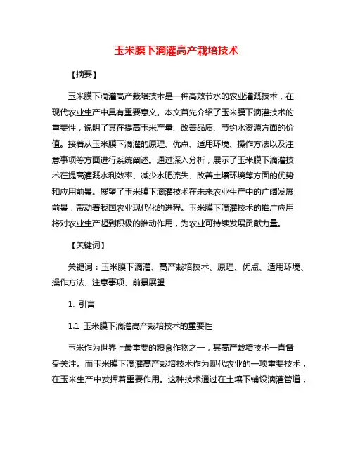 玉米膜下滴灌高产栽培技术