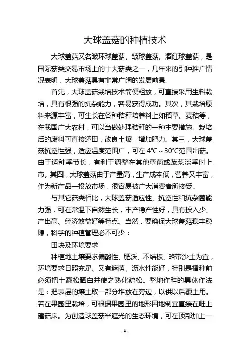 大球盖菇的种植技术