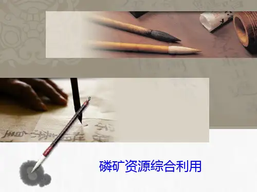 磷矿资源综合利用.
