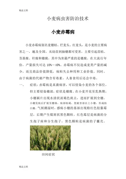 (整理)小麦病虫害防治.