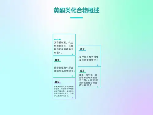 黄酮类化合物概述