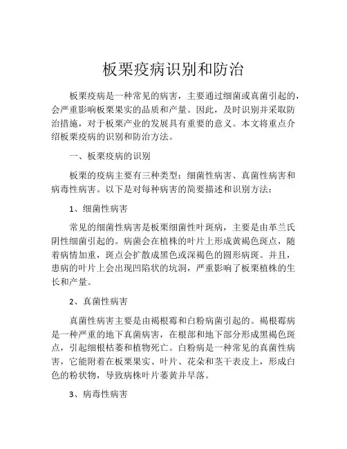 板栗疫病识别和防治
