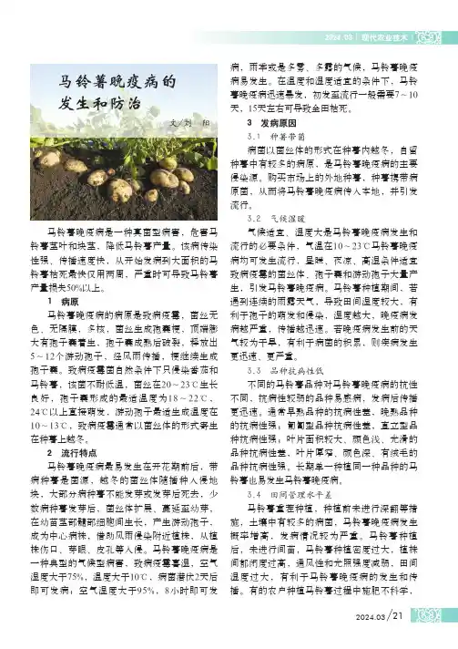 马铃薯晚疫病的发生和防治