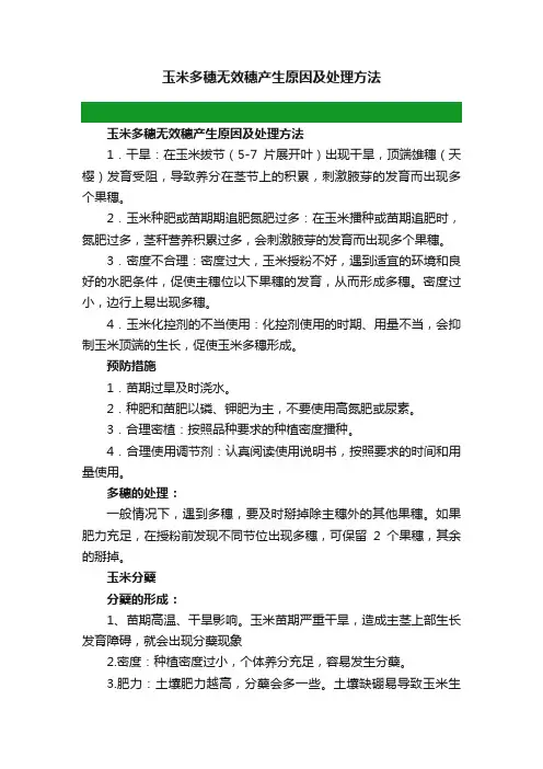 玉米多穗无效穗产生原因及处理方法