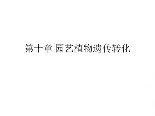 [农学]第十章 园艺植物遗传转化1