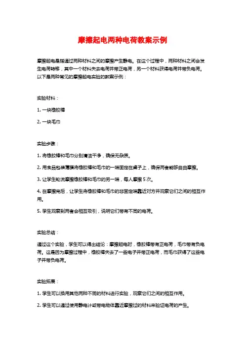 摩擦起电两种电荷教案示例