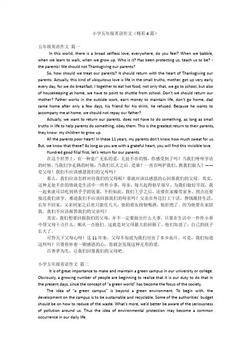 小学五年级英语作文(精彩4篇)