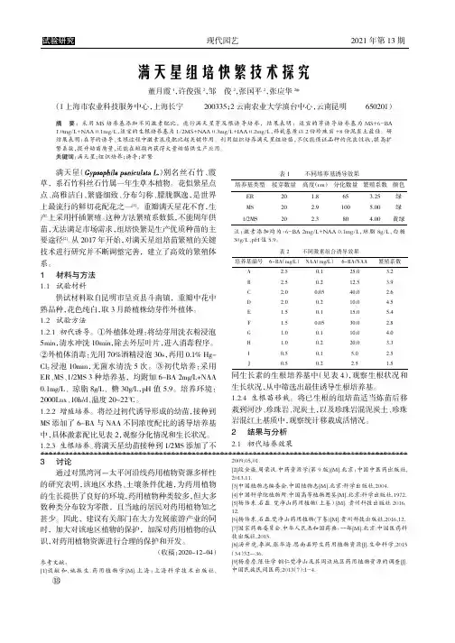 满天星组培快繁技术探究