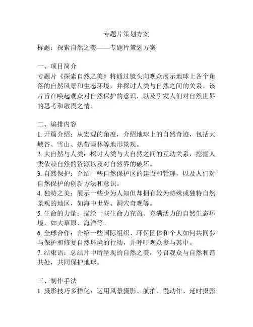 专题片策划方案