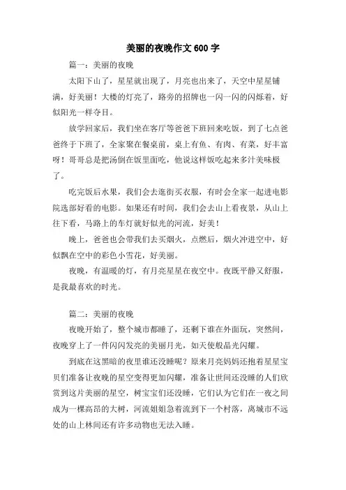 美丽的夜晚作文600字