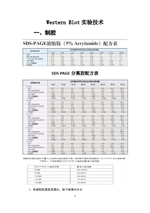 westernblot实验详细步骤(1)