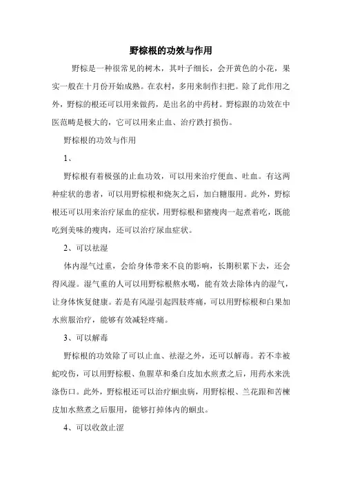 野棕根的功效与作用