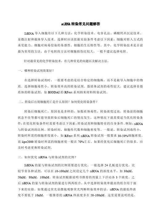 sirna转染常见问题解答
