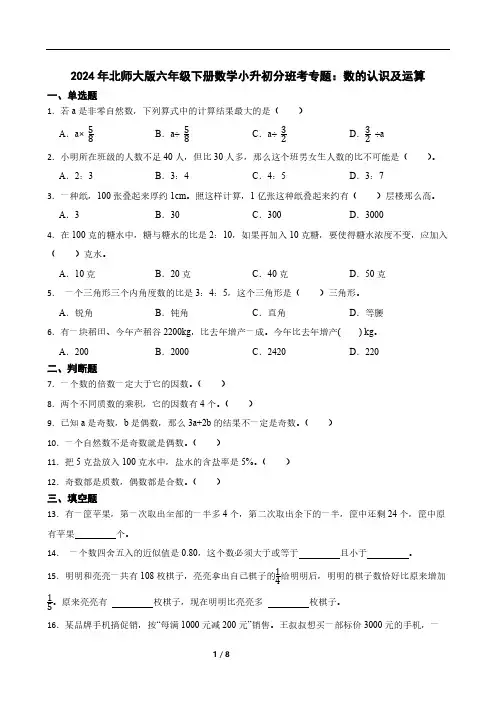 2024年北师大版六年级下册数学小升初分班考专题：数的认识及运算(含答案)