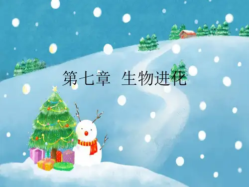 生物的进化PPT教学课件