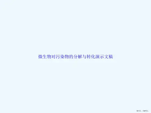 微生物对污染物的分解与转化演示文稿