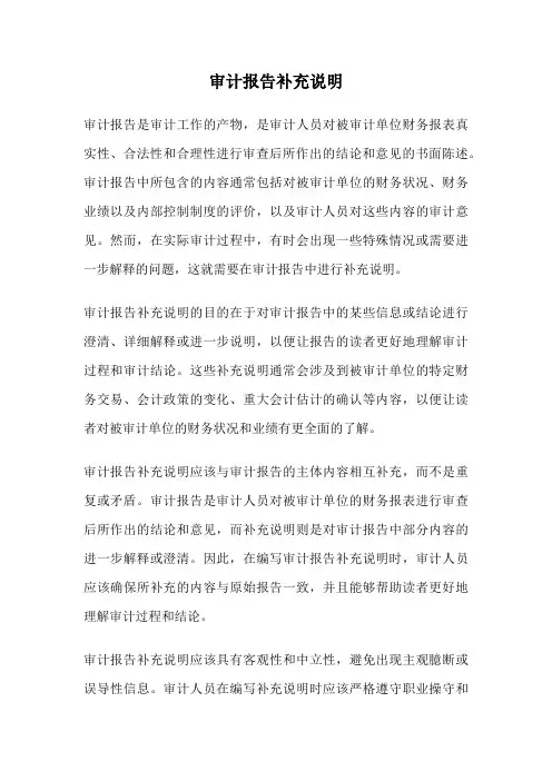 审计报告补充说明