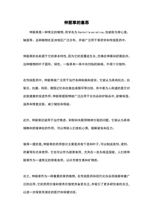 伸筋草的意思