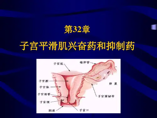 第32章子宫平滑肌兴奋药和抑制药【49页】