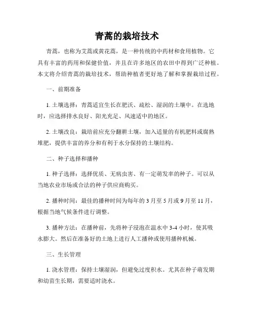 青蒿的栽培技术