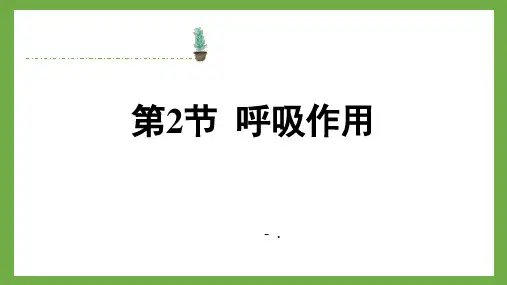 《呼吸作用》PPT优质课件