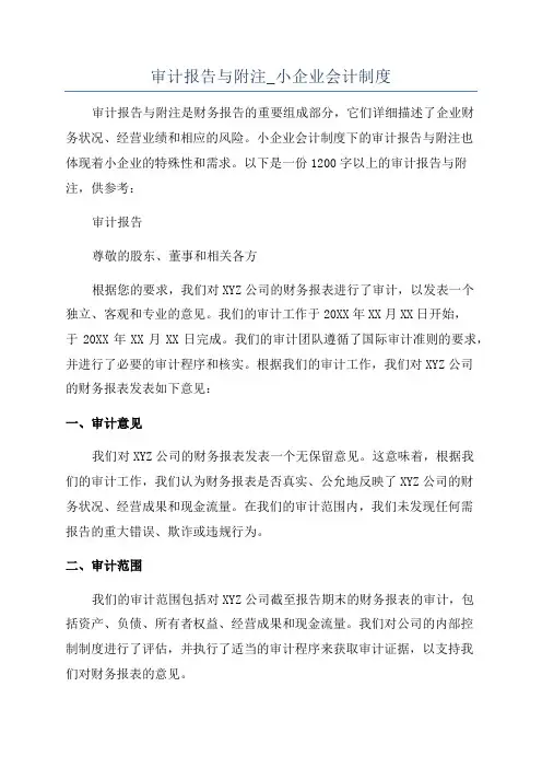 审计报告与附注_小企业会计制度