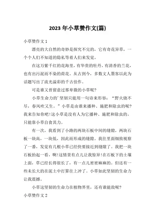 2023年小草赞作文(篇)