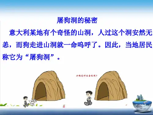 人教版教材化学《二氧化碳和一氧化碳》公开课课件1
