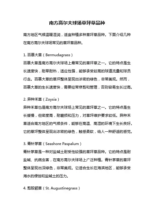 南方高尔夫球场草坪草品种