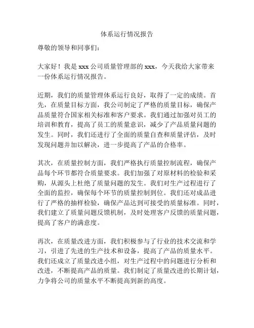 体系运行情况报告