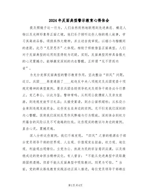 2024年反面典型警示教育心得体会（二篇）