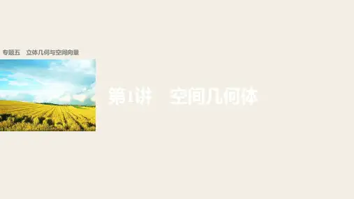 2018版高考数学理 全国甲卷大二轮总复习与增分策略配套课件 专题五 立体几何与空间向量第1讲 精品