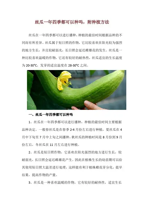 丝瓜一年四季都可以种吗,附种植方法