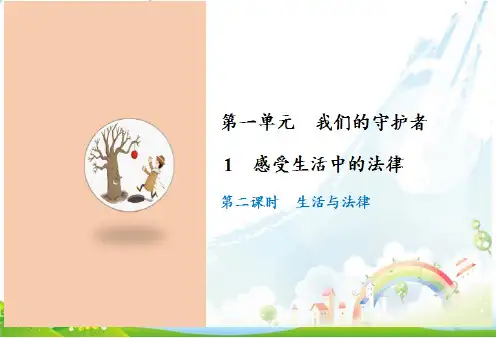六年级上道德与法治-1 感受生活中的法律PPT17PPT优秀课件【部编版】