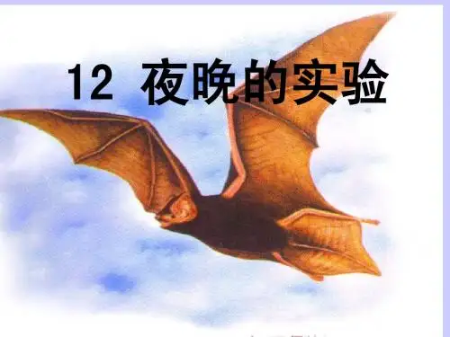 《夜晚的实验》课件