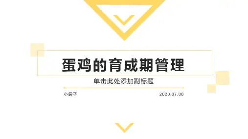 蛋鸡育成期管理PPT(蛋鸡全程管理讲座)蛋鸡常见疾病防治-蛋鸡饲养