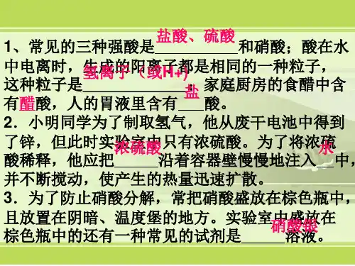 科学中考复习专题复习常见的化合物及有机物
