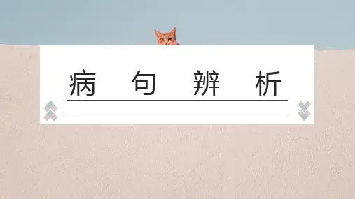 初中病句辨析及修改 (PPT课件43张)